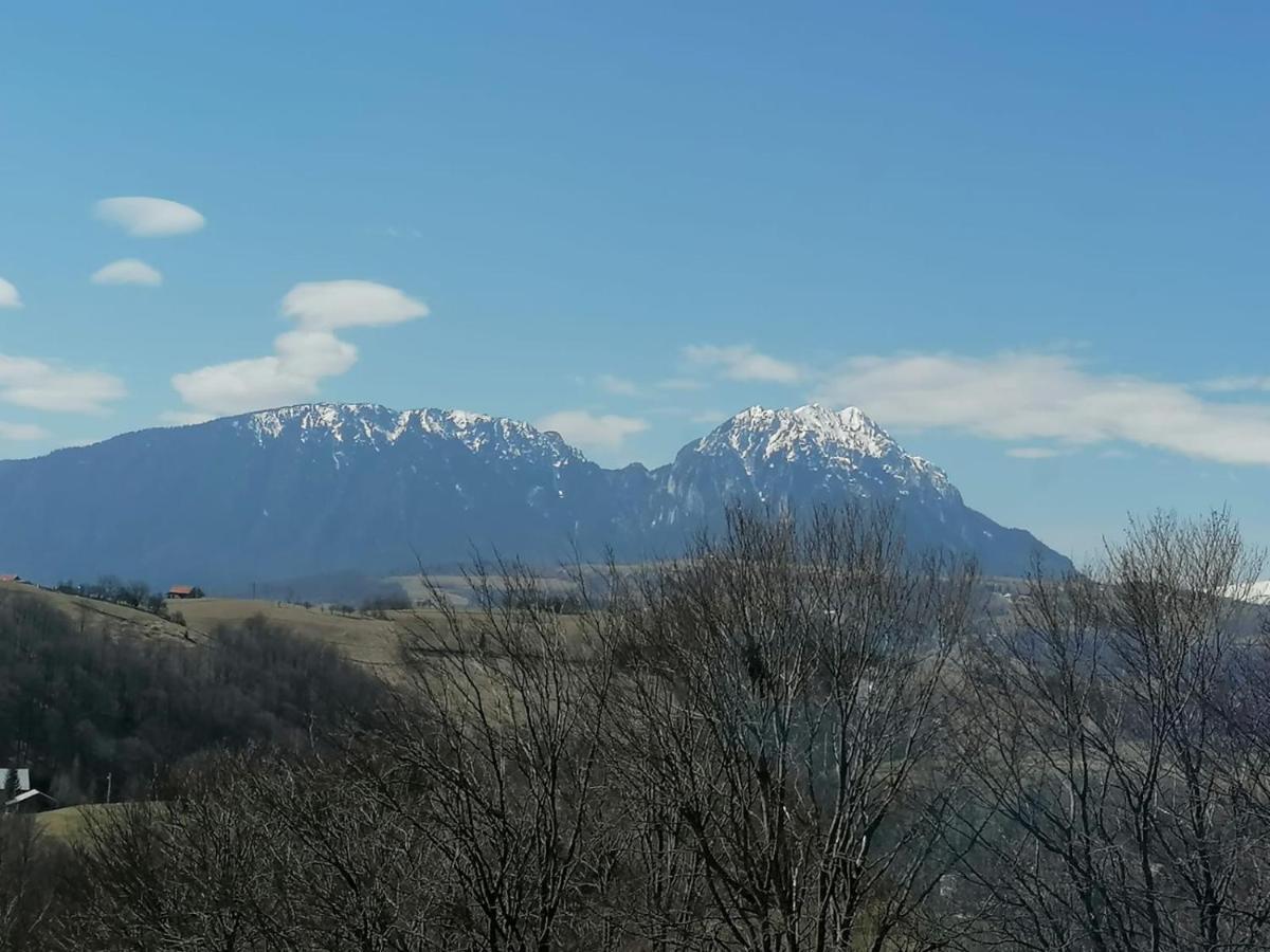 Willa Conacul Elenei Poiana Mărului Zewnętrze zdjęcie