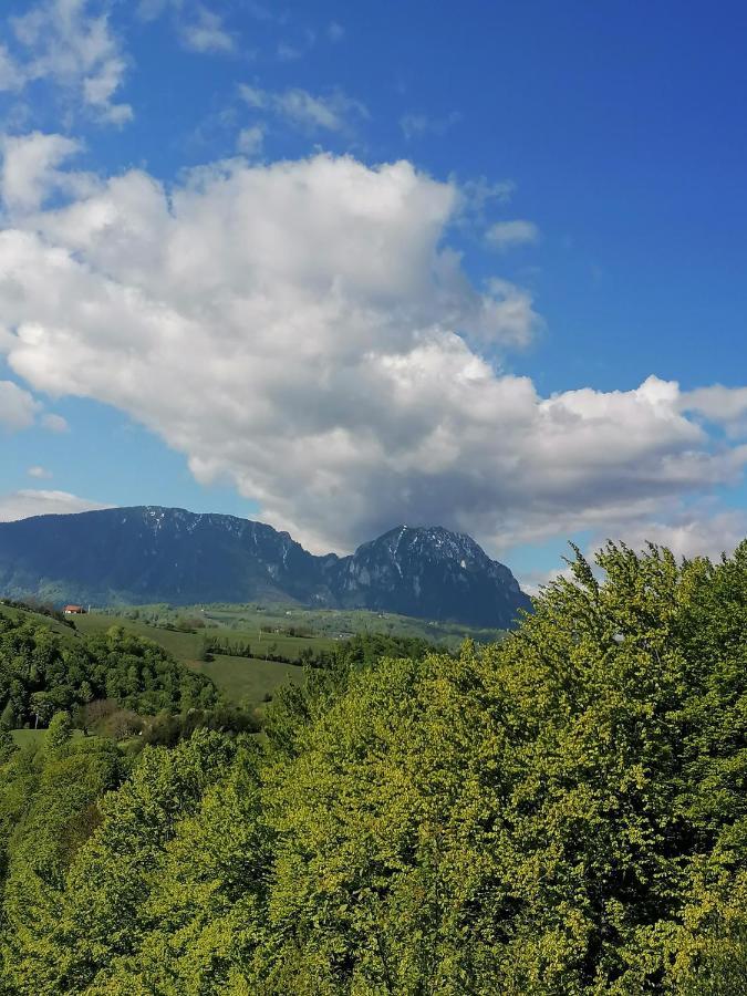 Willa Conacul Elenei Poiana Mărului Zewnętrze zdjęcie