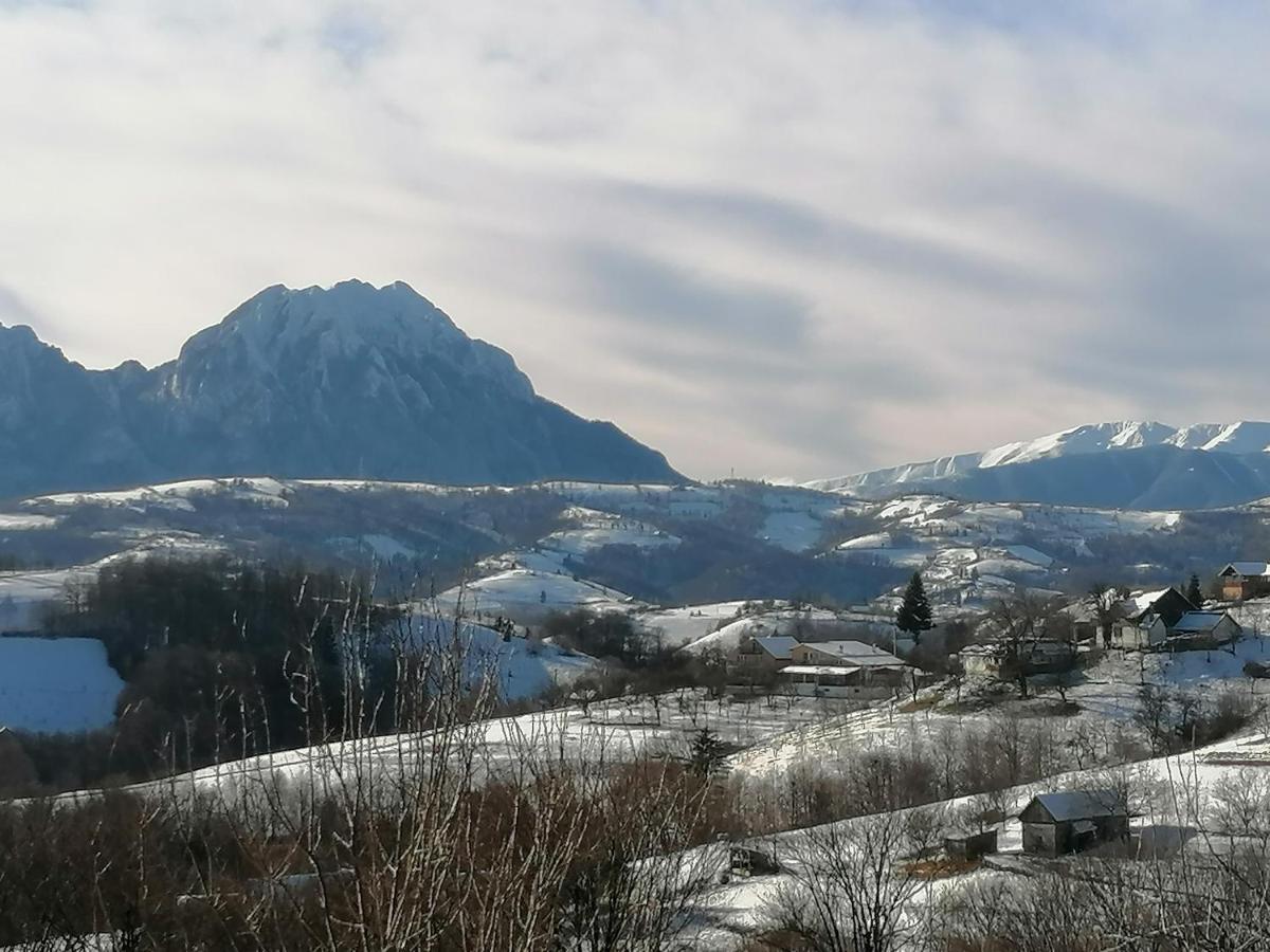 Willa Conacul Elenei Poiana Mărului Zewnętrze zdjęcie