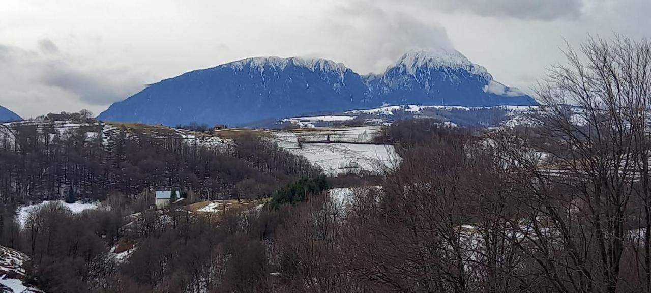 Willa Conacul Elenei Poiana Mărului Zewnętrze zdjęcie