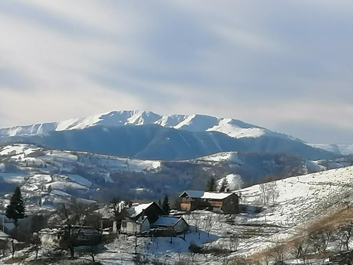 Willa Conacul Elenei Poiana Mărului Zewnętrze zdjęcie