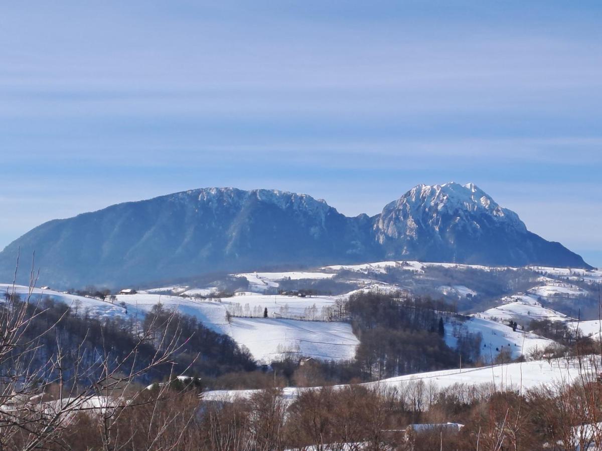 Willa Conacul Elenei Poiana Mărului Zewnętrze zdjęcie