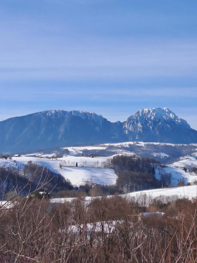 Willa Conacul Elenei Poiana Mărului Zewnętrze zdjęcie